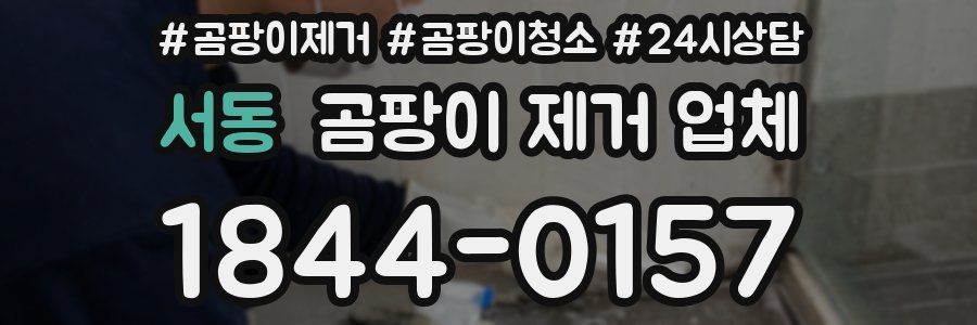 서동 곰팡이 제거 업체
