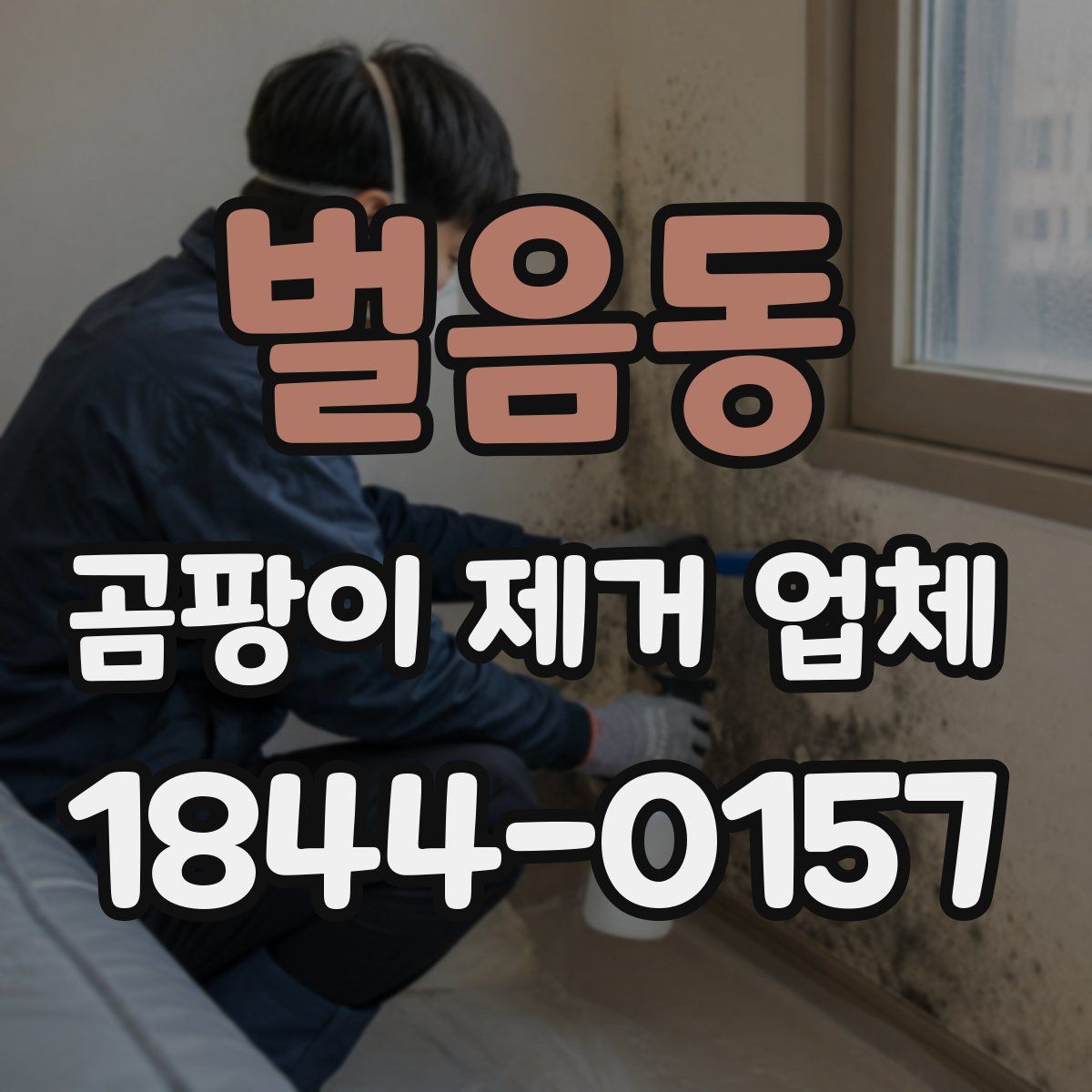 벌음동 곰팡이 제거 업체