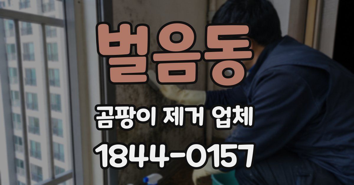 벌음동 곰팡이 제거 업체