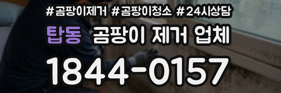 탑동 곰팡이 제거 업체
