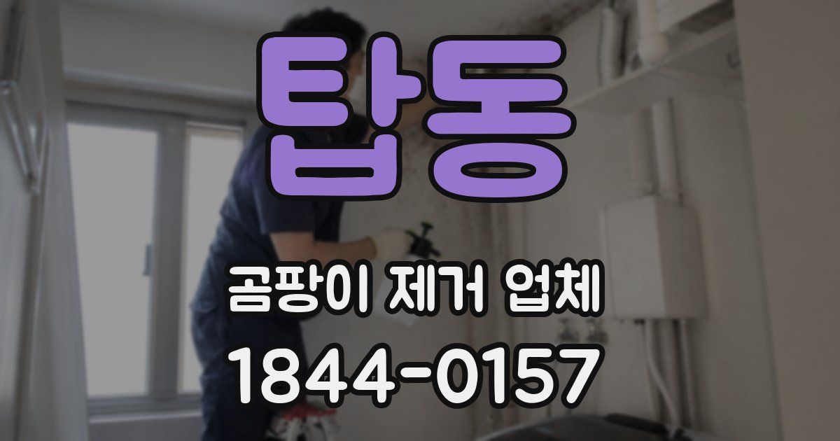 탑동 곰팡이 제거 업체