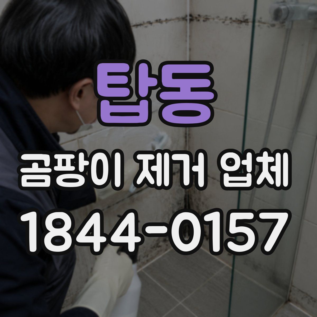 탑동 곰팡이 제거 업체