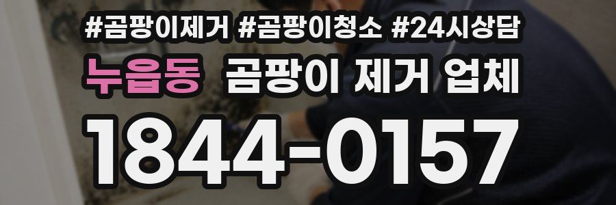 누읍동 곰팡이 제거 업체