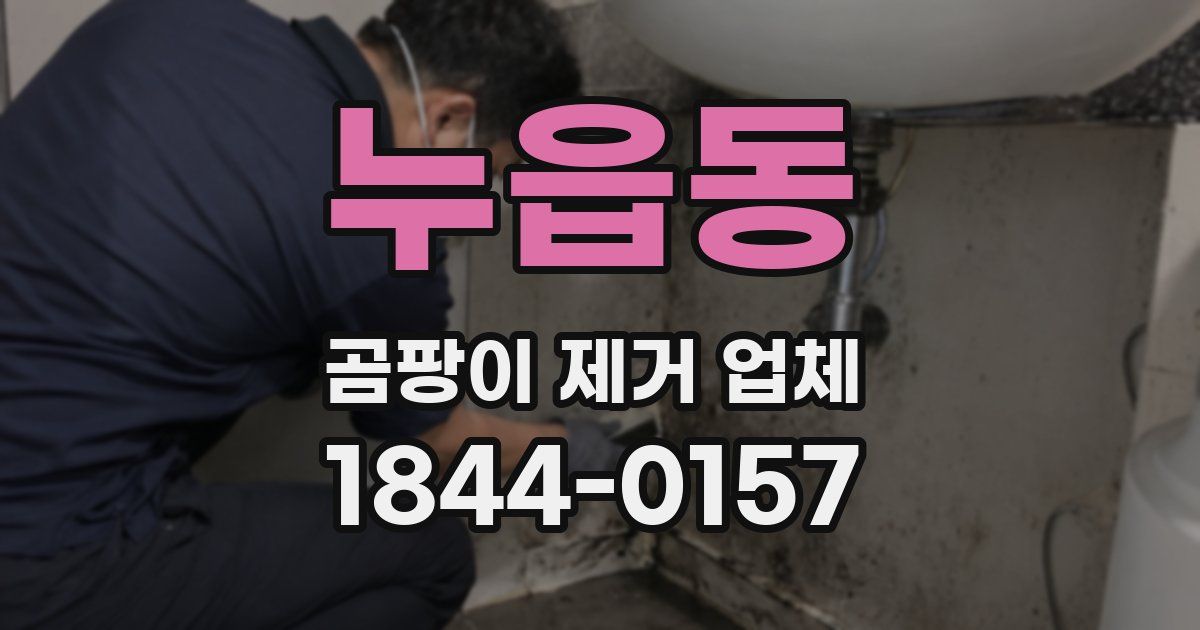 누읍동 곰팡이 제거 업체