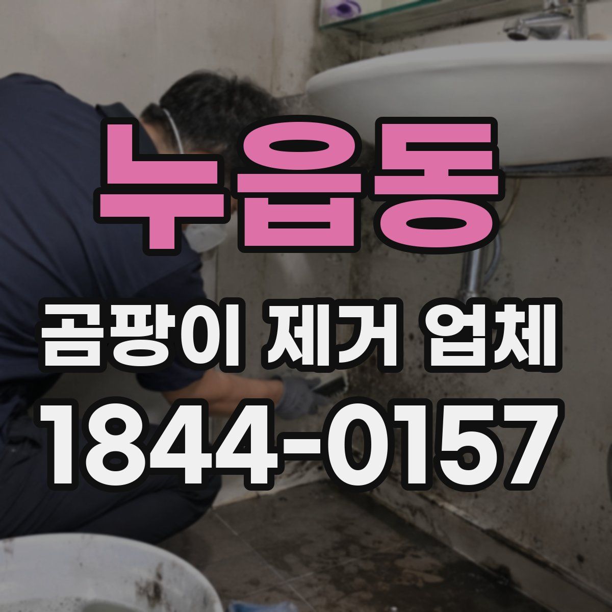 누읍동 곰팡이 제거 업체