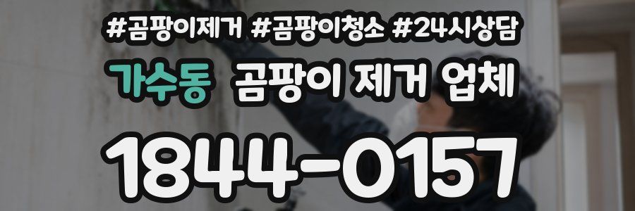 가수동 곰팡이 제거 업체