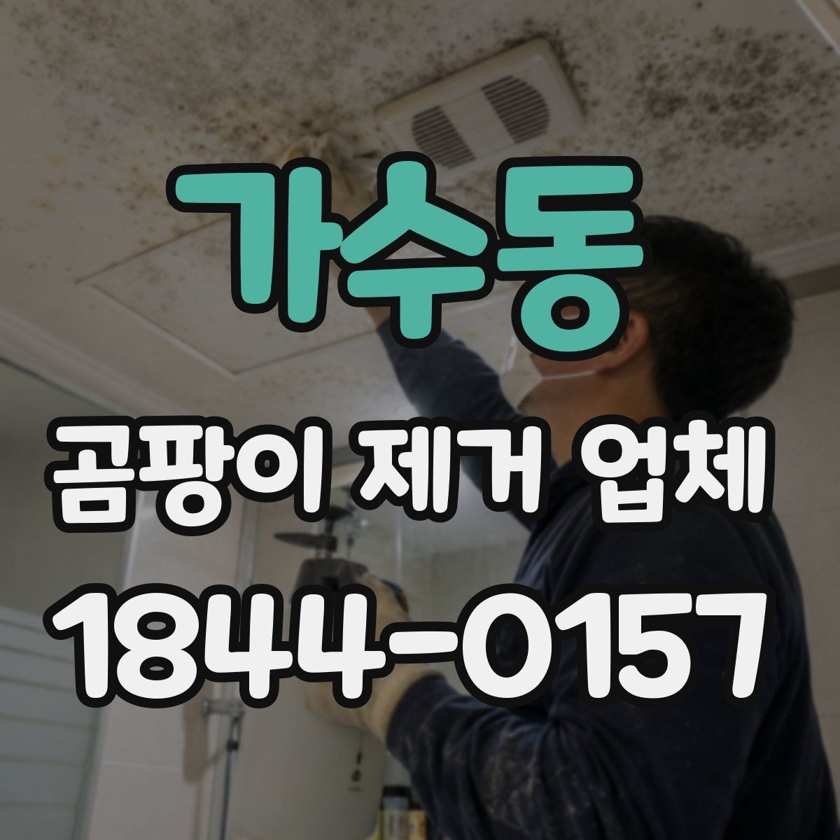 가수동 곰팡이 제거 업체