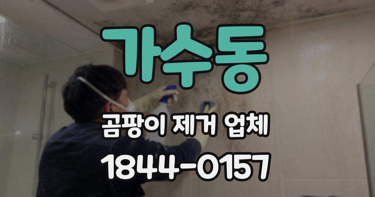 가수동 곰팡이 제거 업체
