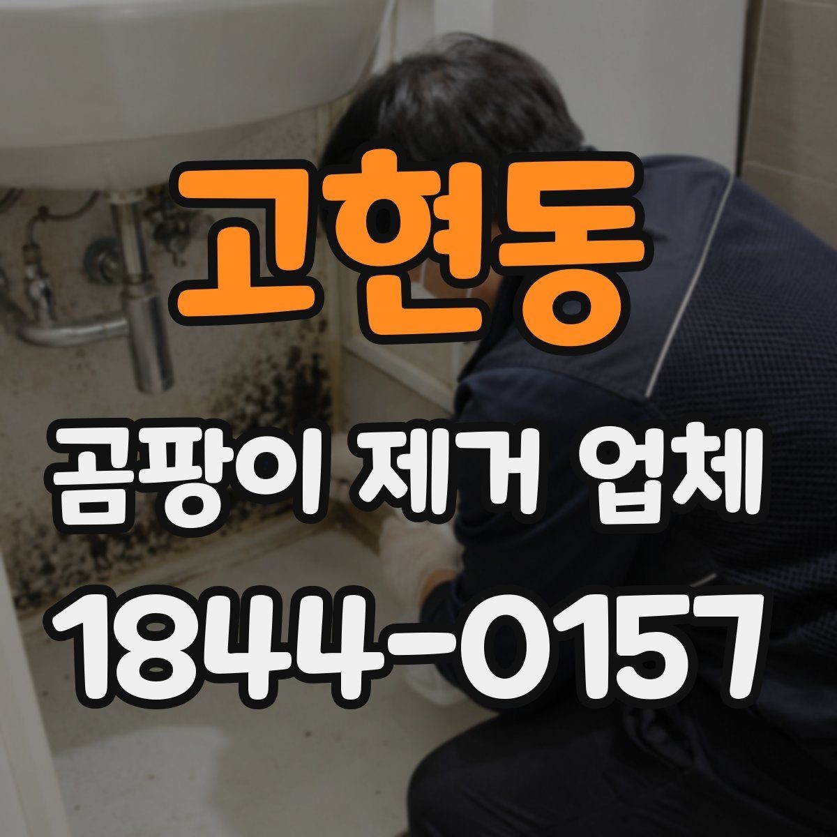 고현동 곰팡이 제거 업체 내부 결로와 외벽 하자를 함께 살피는 방법