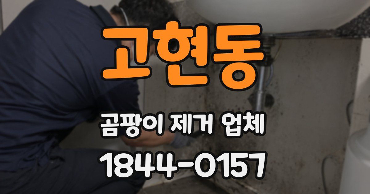 고현동 곰팡이 제거 업체