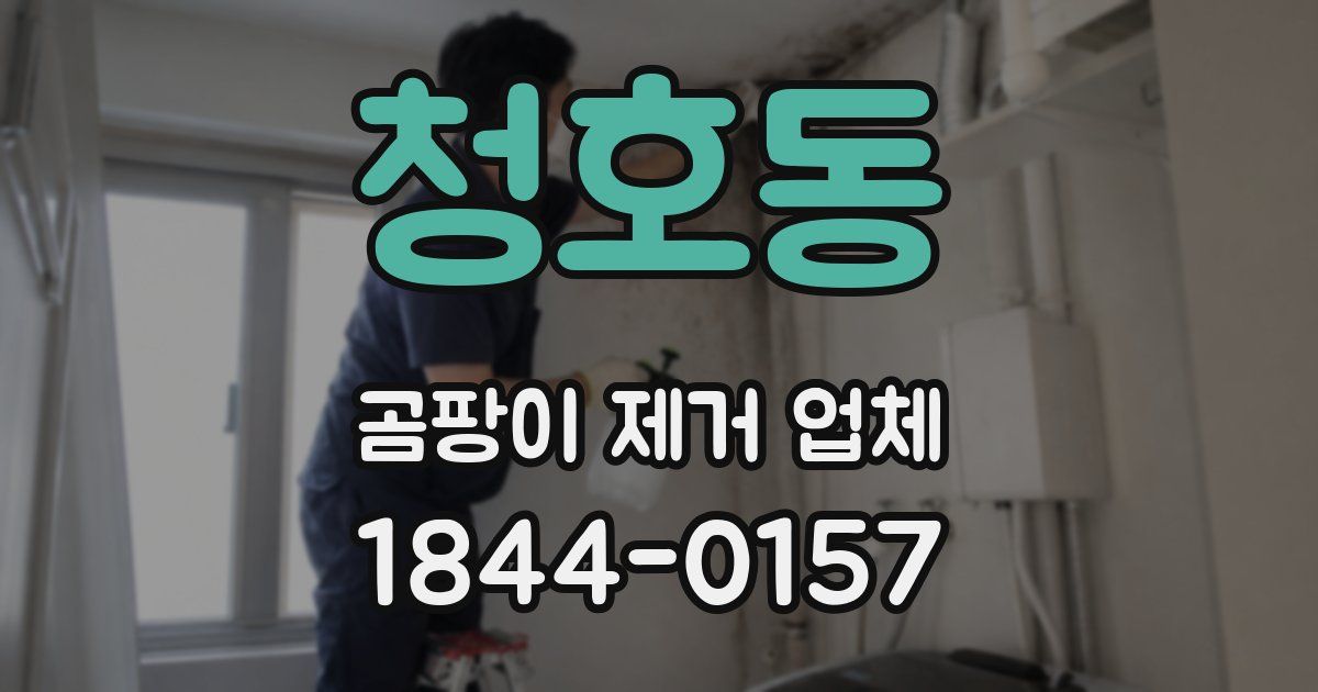 청호동 곰팡이 제거 업체