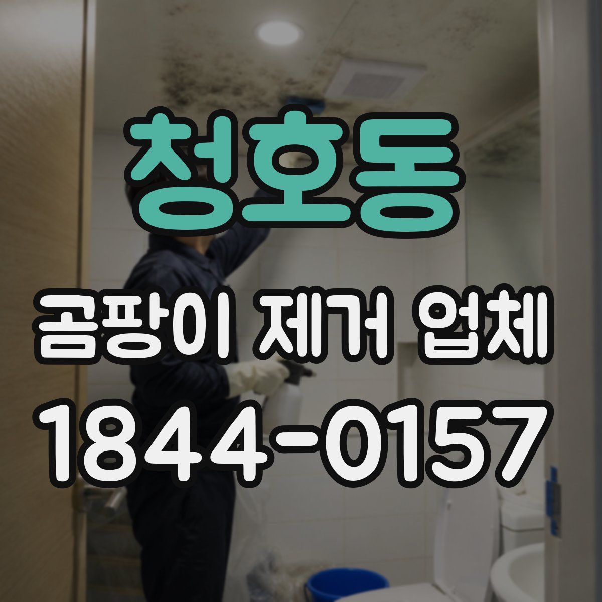 청호동 곰팡이 제거 업체