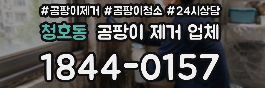 청호동 곰팡이 제거 업체