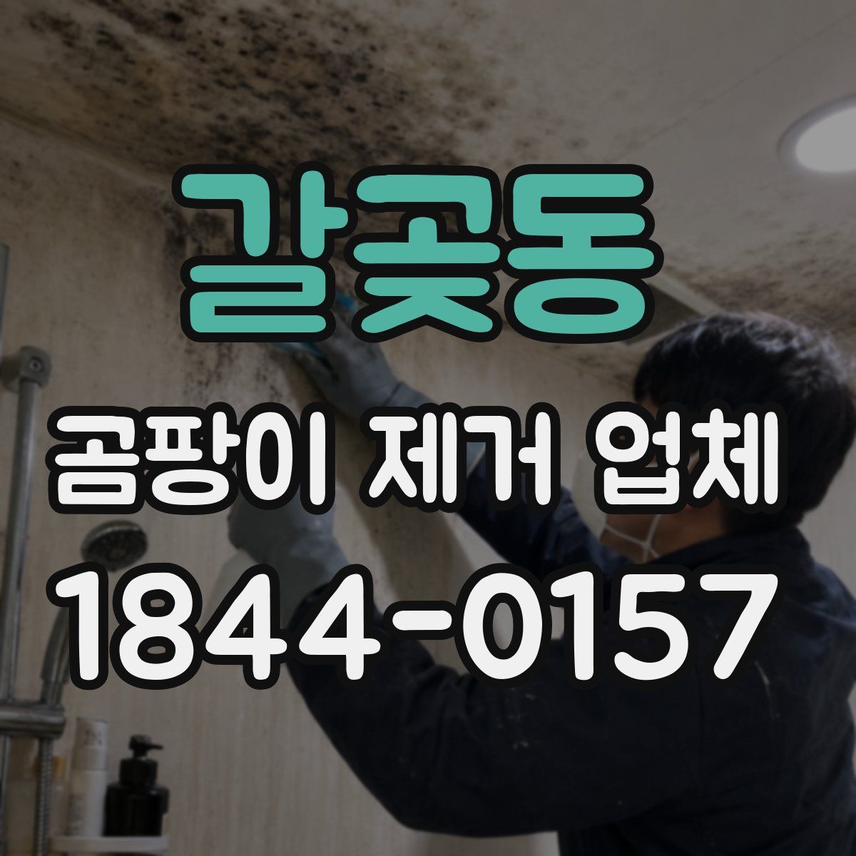 갈곶동 곰팡이 제거 업체
