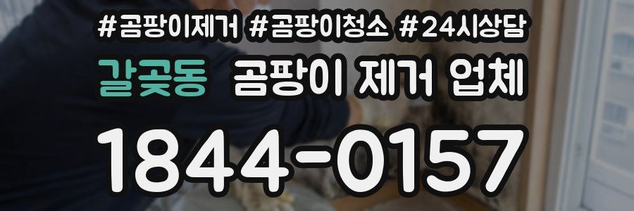 갈곶동 곰팡이 제거 업체