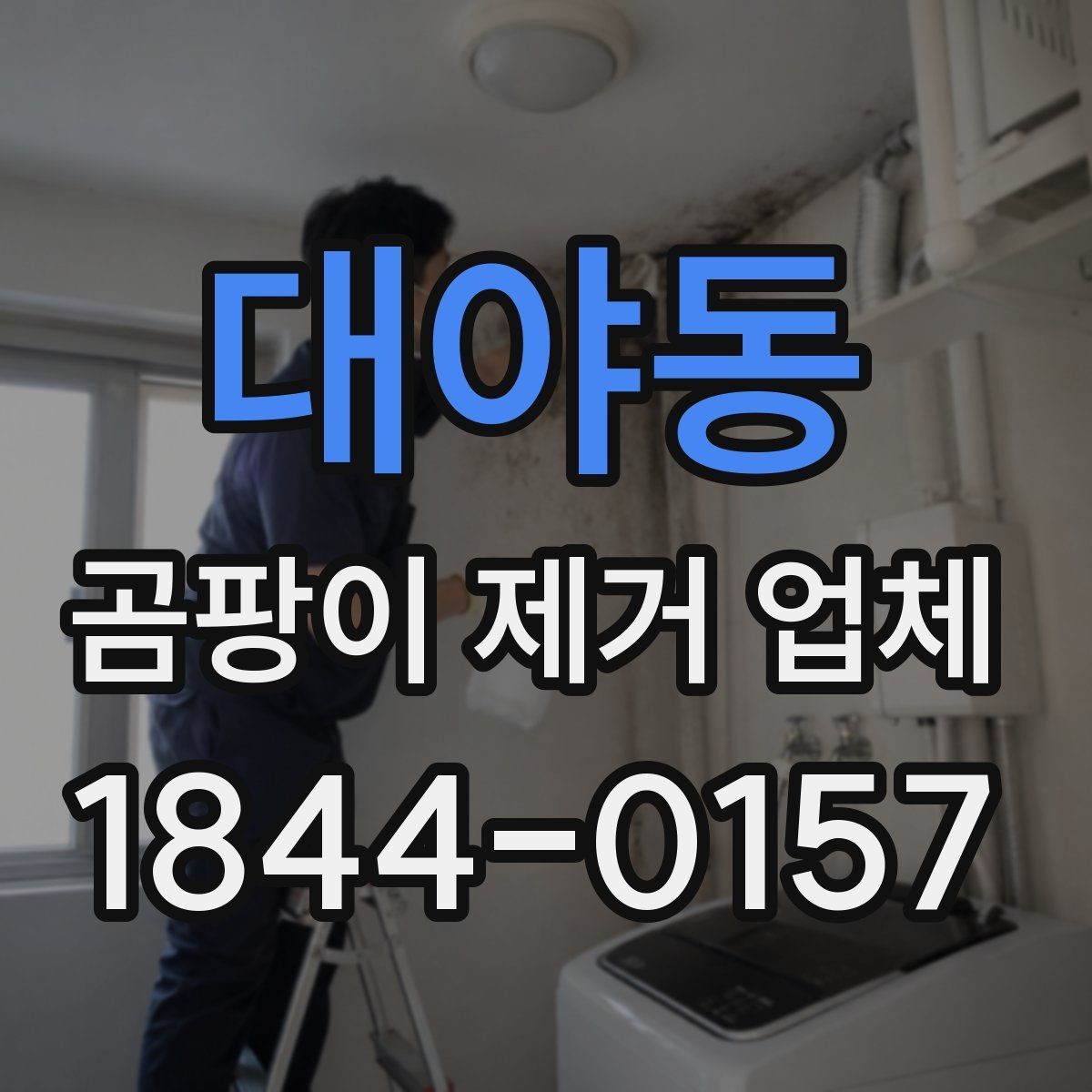 대야동 곰팡이 제거 업체 재발 방지를 위해 확인해야 할 환경 요소