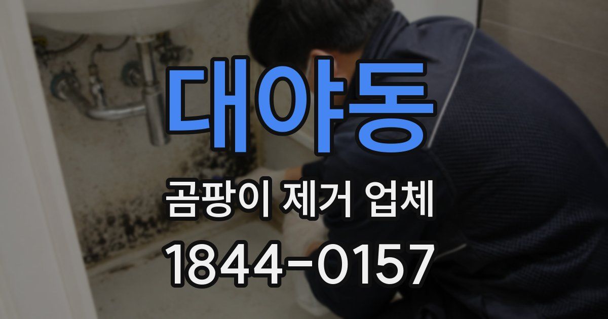 대야동 곰팡이 제거 업체