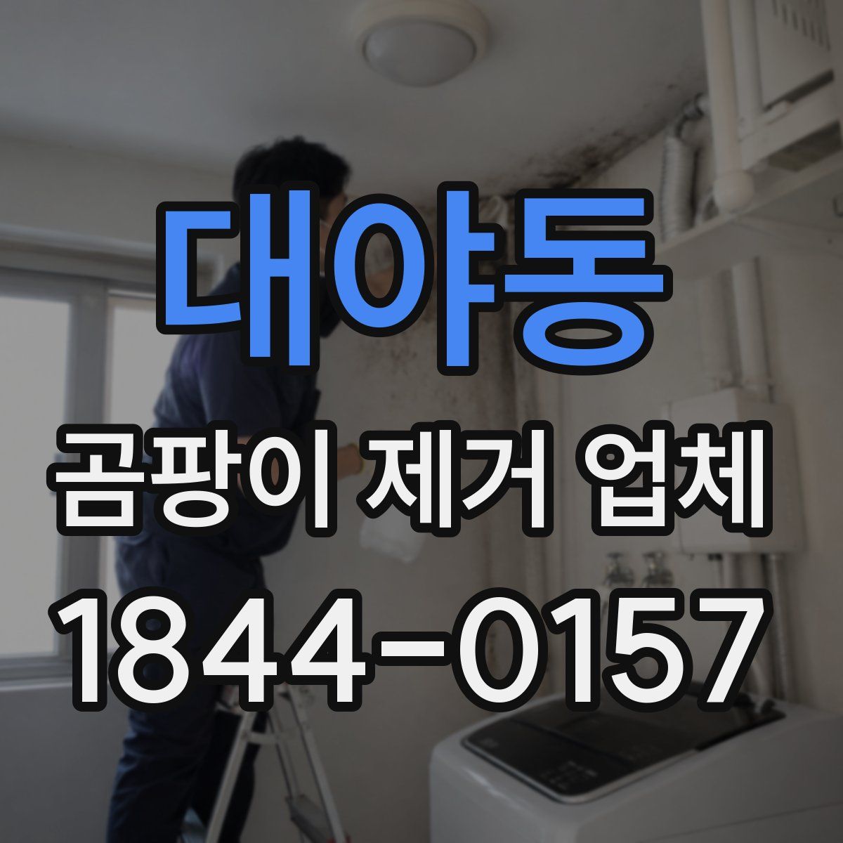 대야동 곰팡이 제거 업체