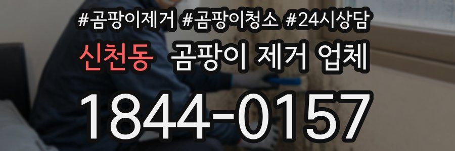 신천동 곰팡이 제거 업체