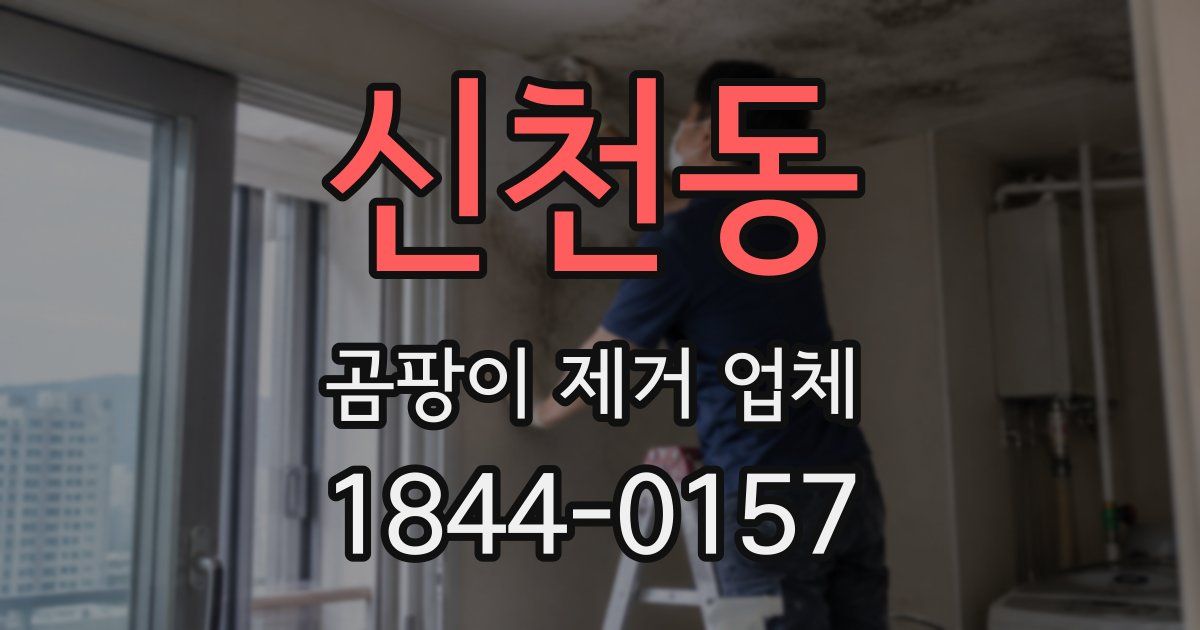 신천동 곰팡이 제거 업체