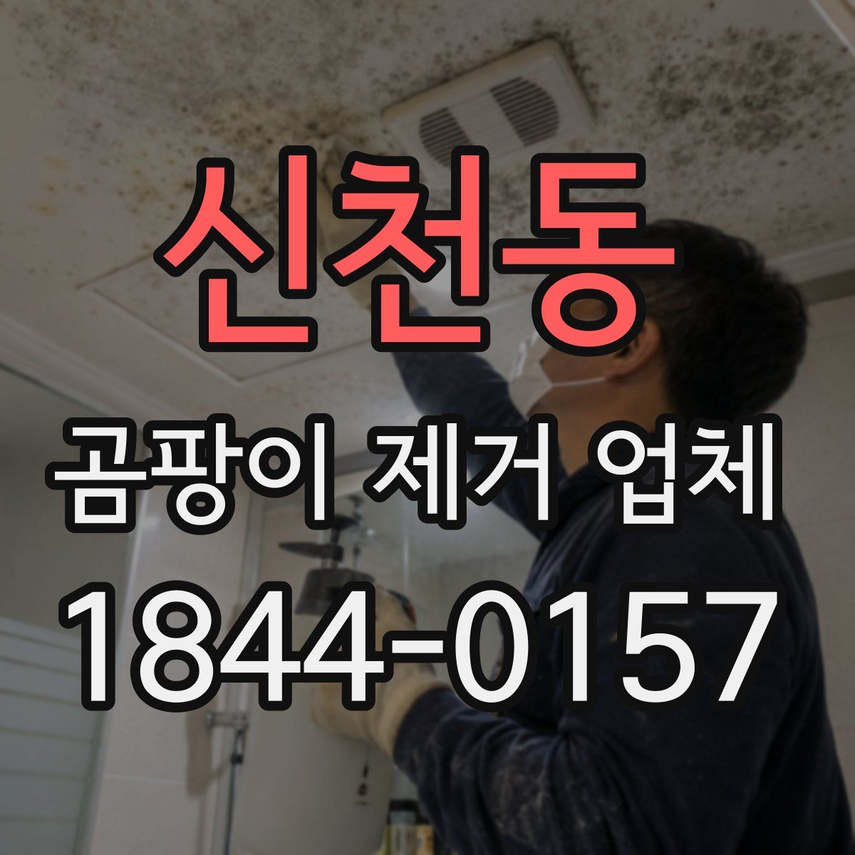 신천동 곰팡이 제거 업체