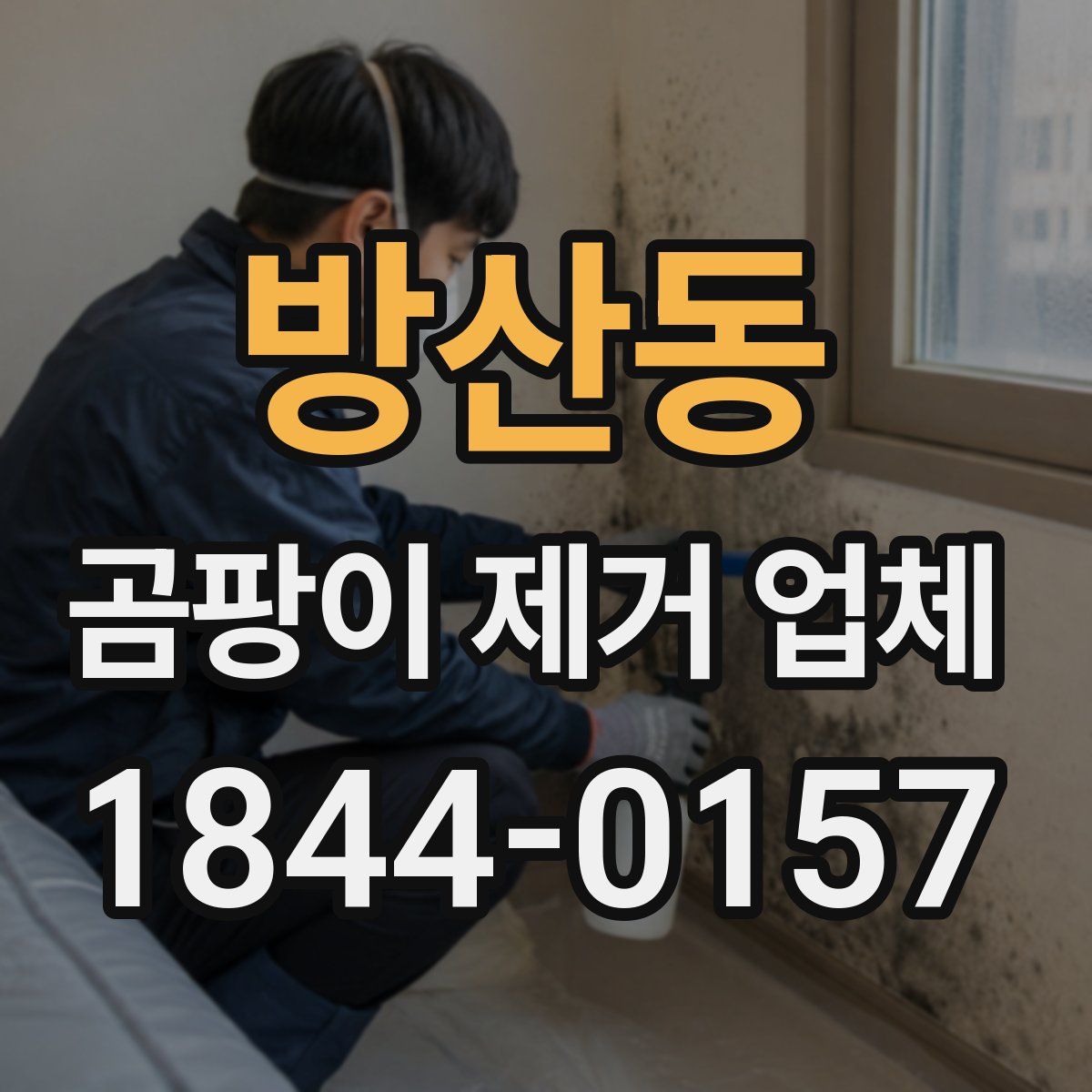 방산동 곰팡이 제거 업체