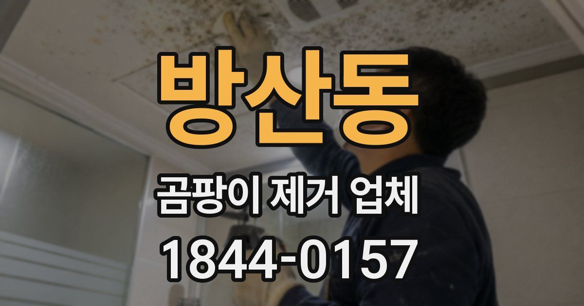 방산동 곰팡이 제거 업체