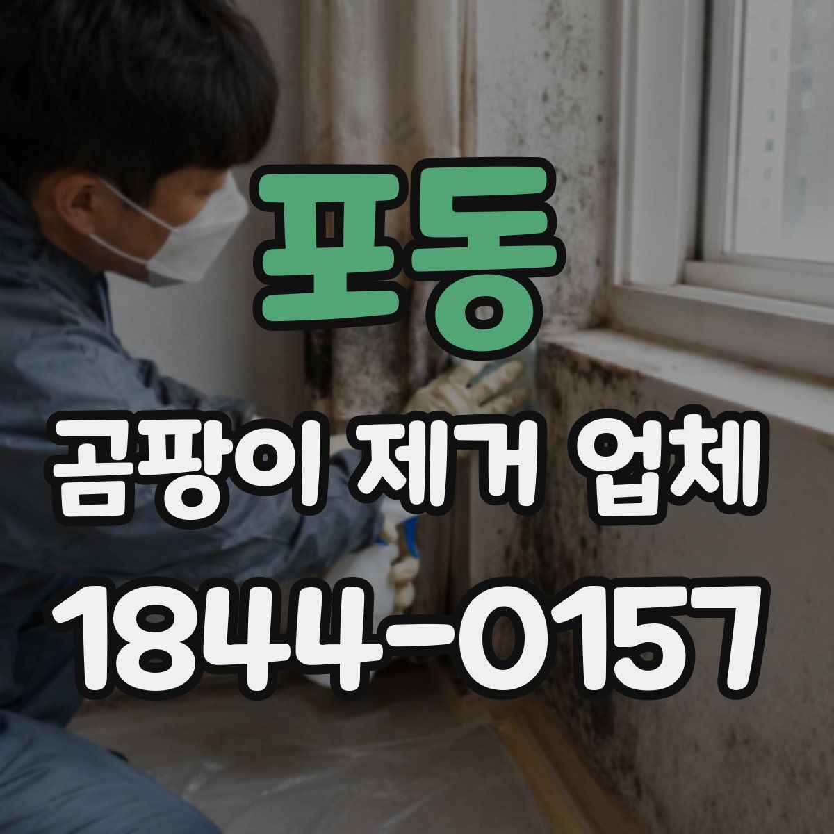 포동 곰팡이 제거 업체
