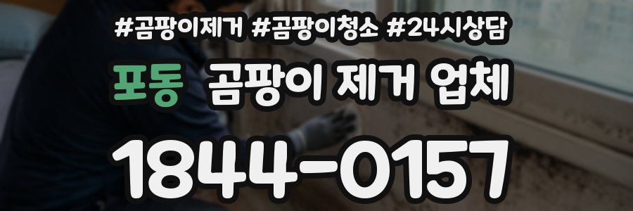 포동 곰팡이 제거 업체