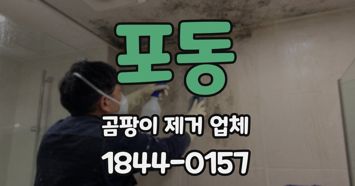 포동 곰팡이 제거 업체