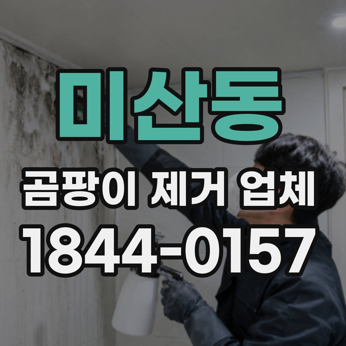 미산동 곰팡이 제거 업체