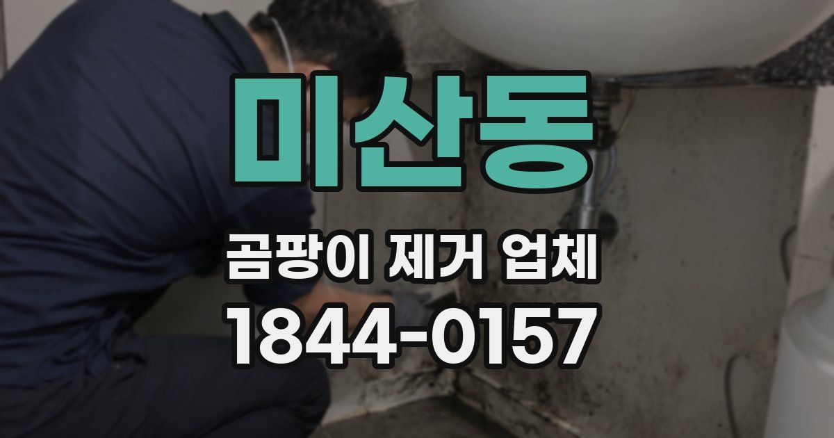 미산동 곰팡이 제거 업체