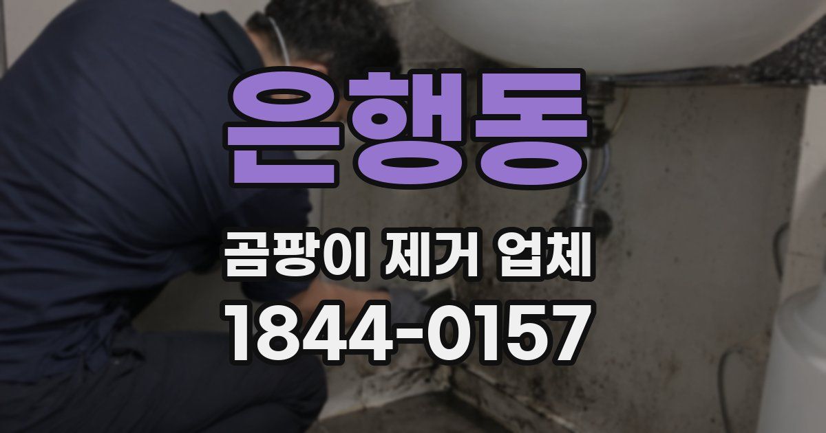 은행동 곰팡이 제거 업체