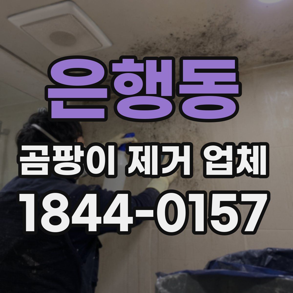 은행동 곰팡이 제거 업체