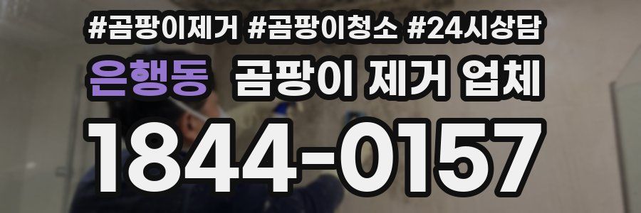 은행동 곰팡이 제거 업체