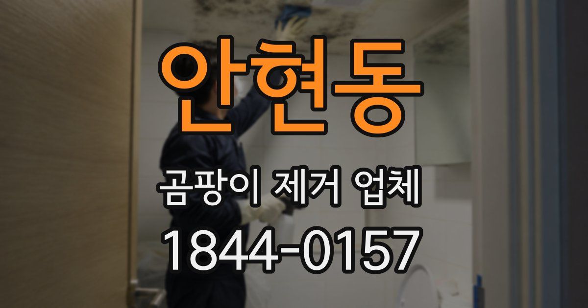 안현동 곰팡이 제거 업체