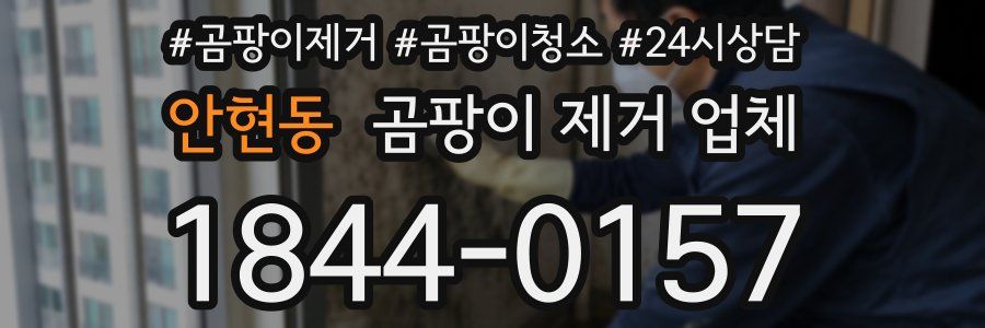 안현동 곰팡이 제거 업체