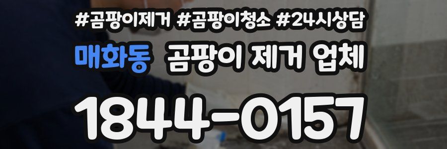 매화동 곰팡이 제거 업체