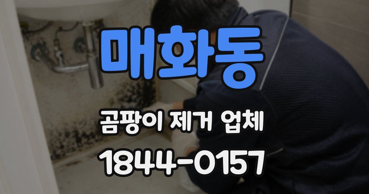 매화동 곰팡이 제거 업체