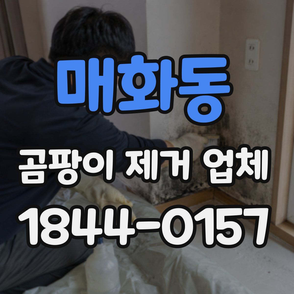 매화동 곰팡이 제거 업체