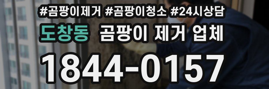 도창동 곰팡이 제거 업체