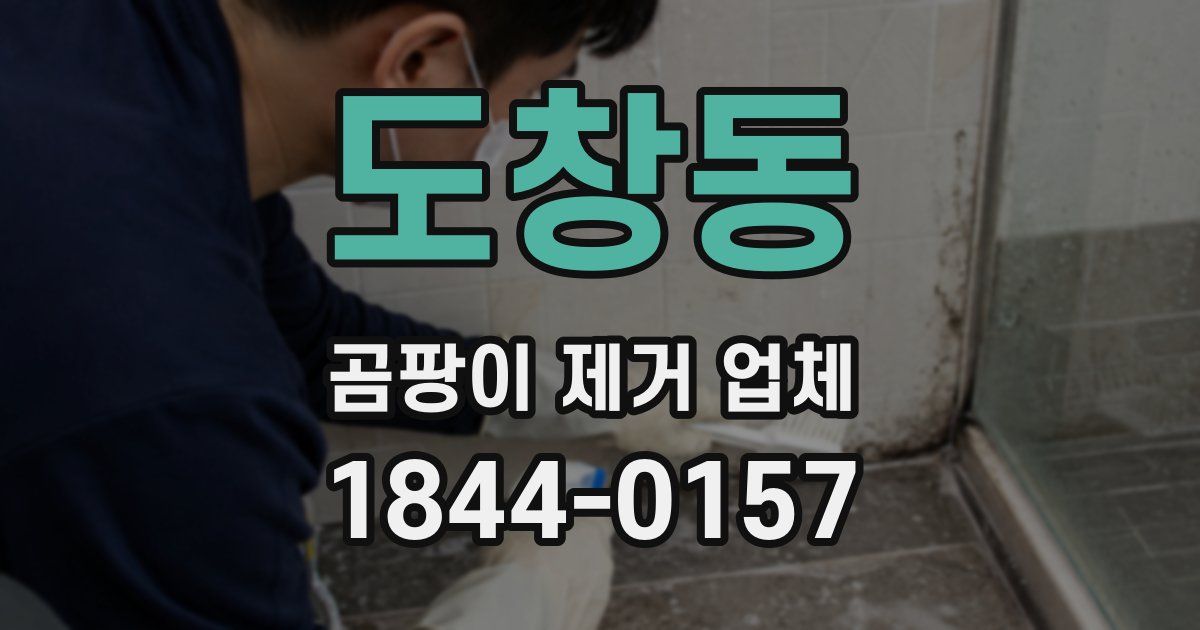 도창동 곰팡이 제거 업체