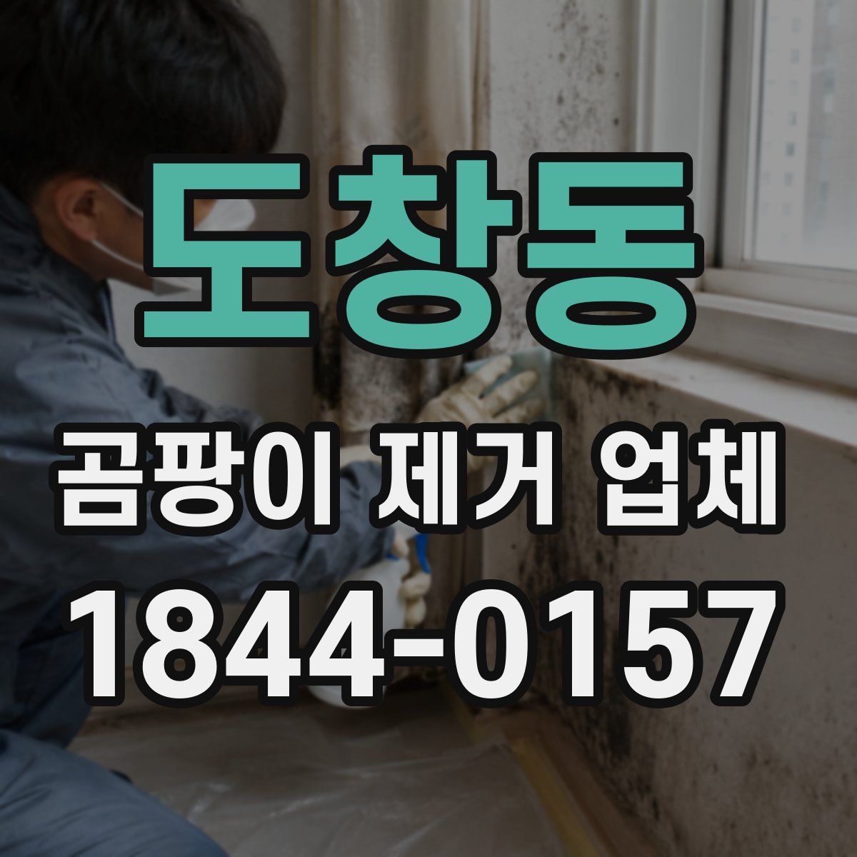 도창동 곰팡이 제거 업체