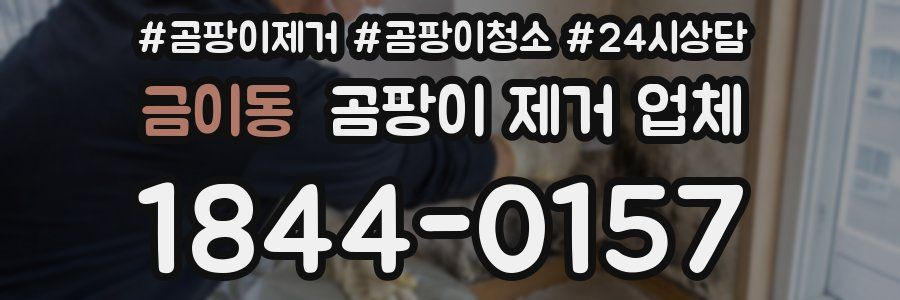 금이동 곰팡이 제거 업체