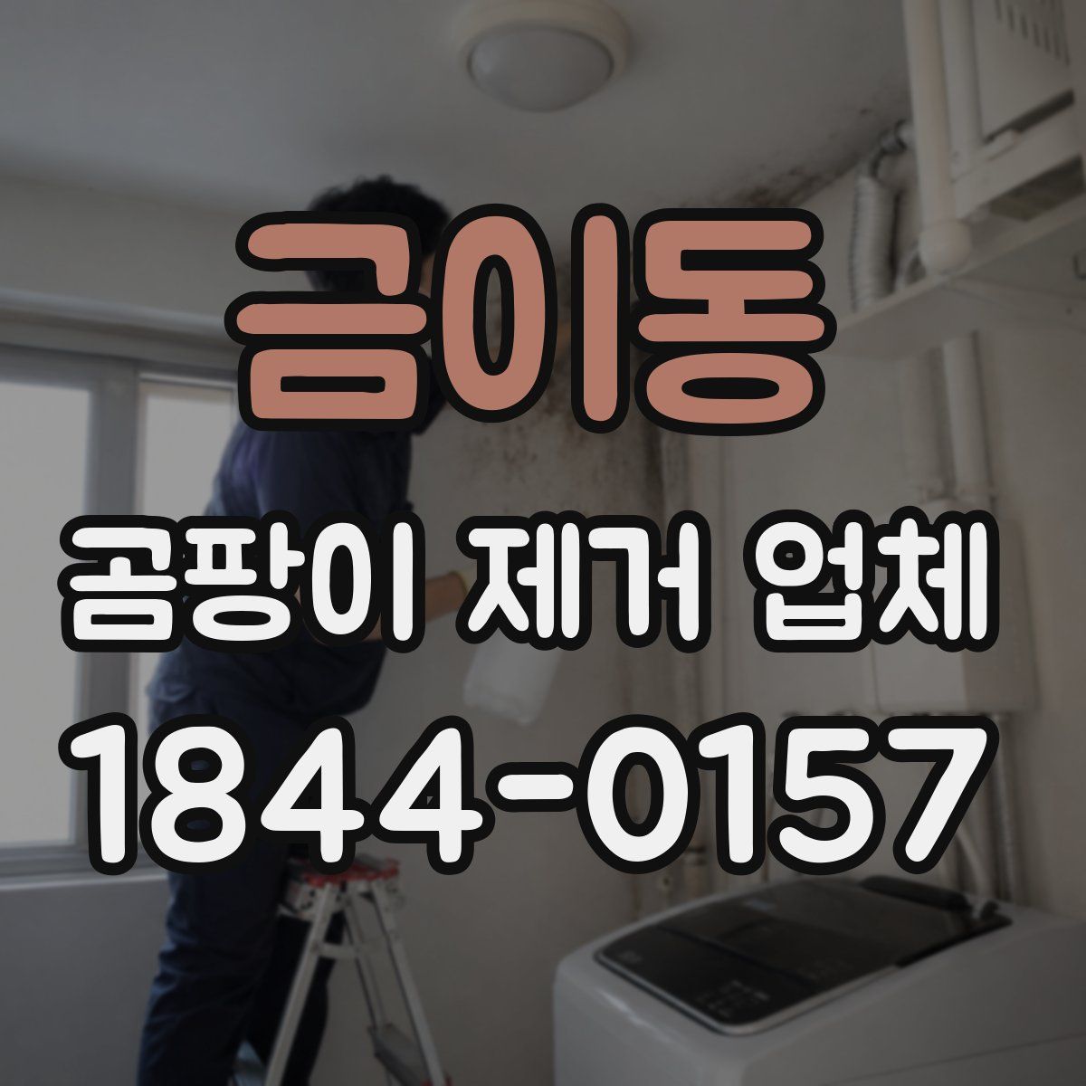 금이동 곰팡이 제거 업체