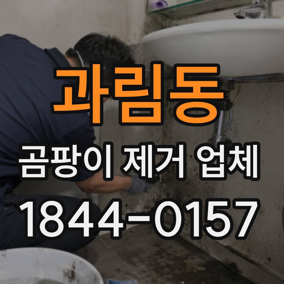 과림동 곰팡이 제거 업체