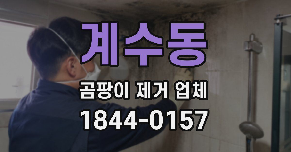 계수동 곰팡이 제거 업체