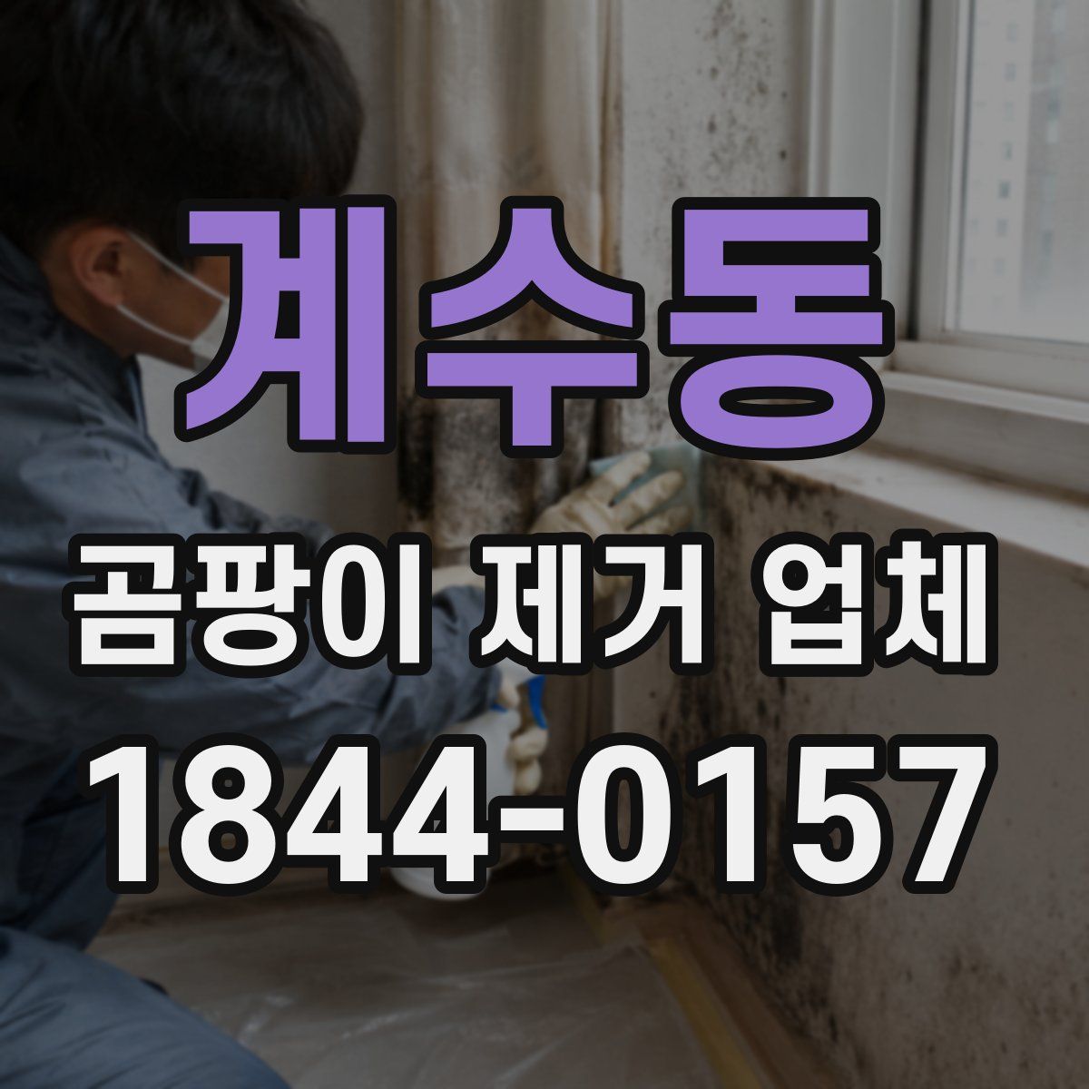 계수동 곰팡이 제거 업체