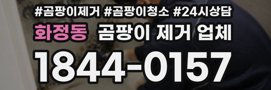 화정동 곰팡이 제거 업체