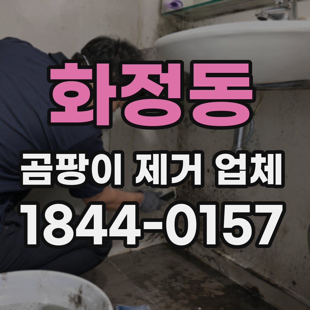 화정동 곰팡이 제거 업체
